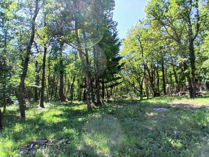 Location de vacances pour 8 personnes, avec vue et jardin à Berrie - 3