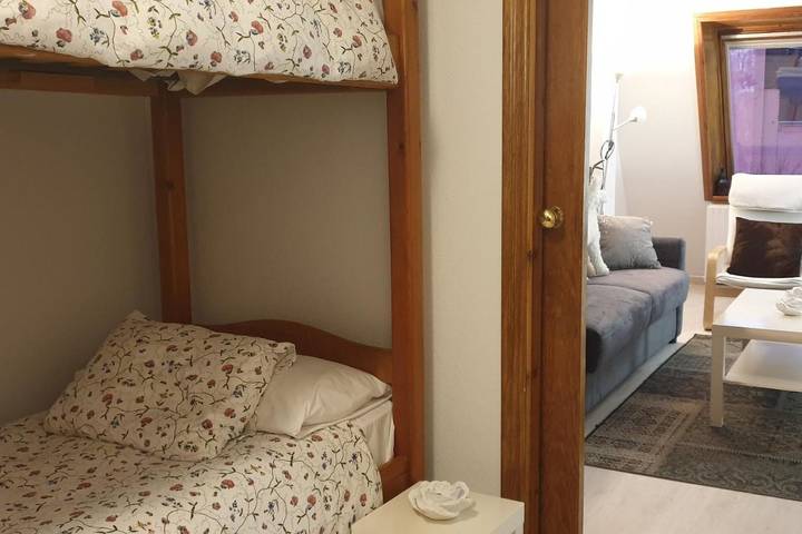 Gîte pour 4 personnes, animaux acceptés dans Formigal - 3