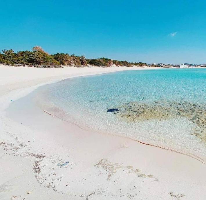 Chambre d’hôte pour 2 personnes, avec vue et jardin à Presicce - 2