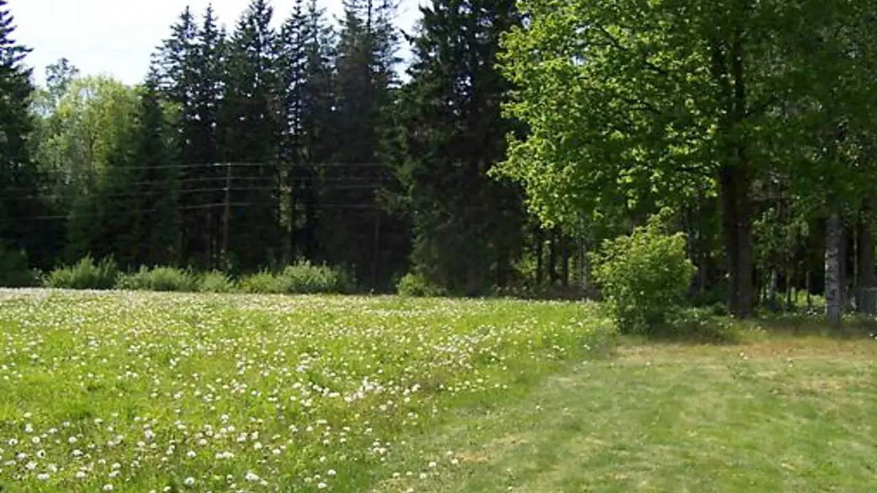 Ferienhaus für 5 Personen (65 m²) in Lammhult in Aneboda, Kronobergs