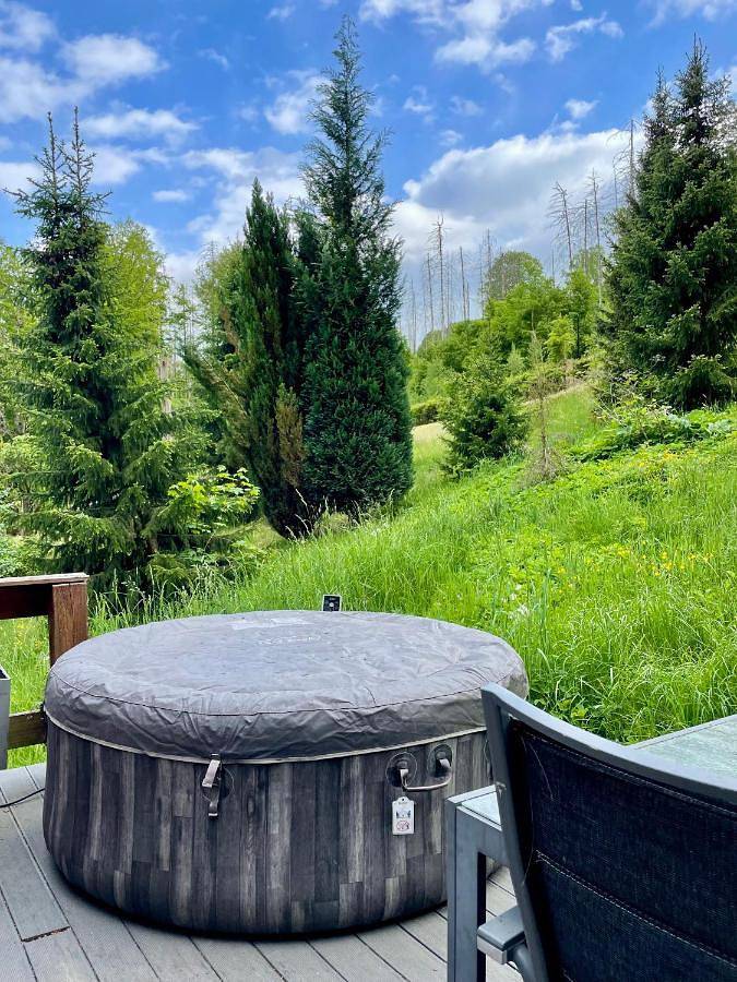 Ferienhaus für 13 Personen, mit Ausblick und Garten, mit Haustier in Reinhardtsdorf-Schöna - 2