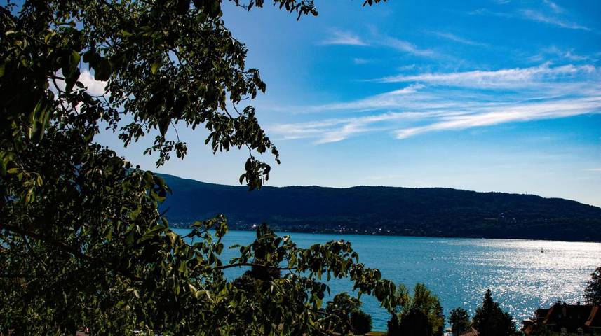 Villa pour 17 personnes, avec vue sur le lac ainsi que vue et jardin à Veyrier-du-Lac - 2
