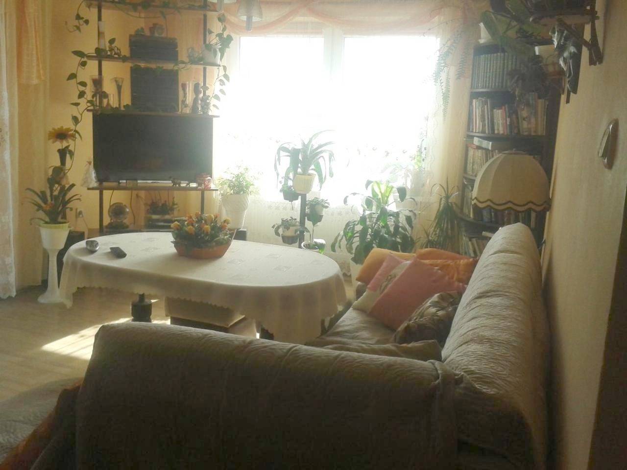 Cały apartament wypoczynkowy, Dom Pod Różą in Leśna, Dolny Śląsk