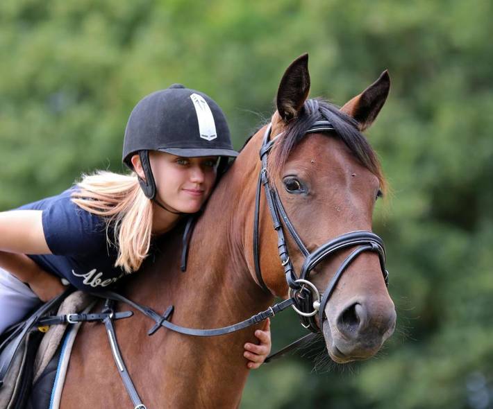 Location de vacances pour 10 personnes, avec jardin et sauna ainsi que vue et piscine, animaux acceptés à Saint-Fargeau - 4