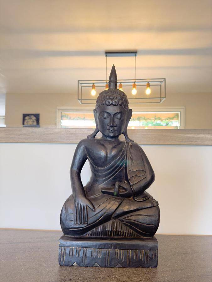 Location de vacances pour 7 personnes, avec jardin à Pujols-sur-Ciron - 4