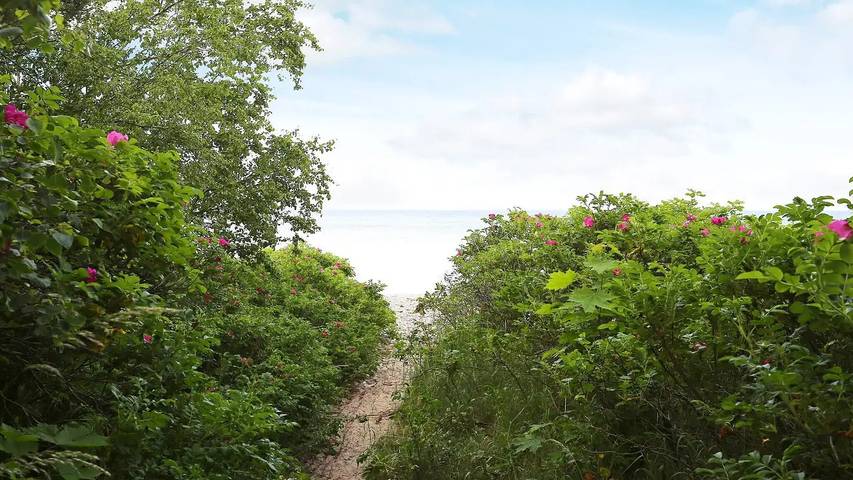 Ferienhaus für 7 Personen, mit Terrasse an der Kattegat Küste - 4
