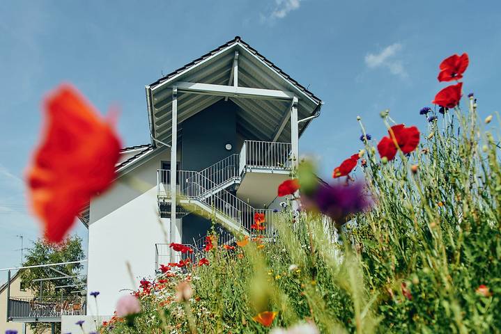 Hôtel pour 2 personnes, avec terrasse à Donaueschingen - 3
