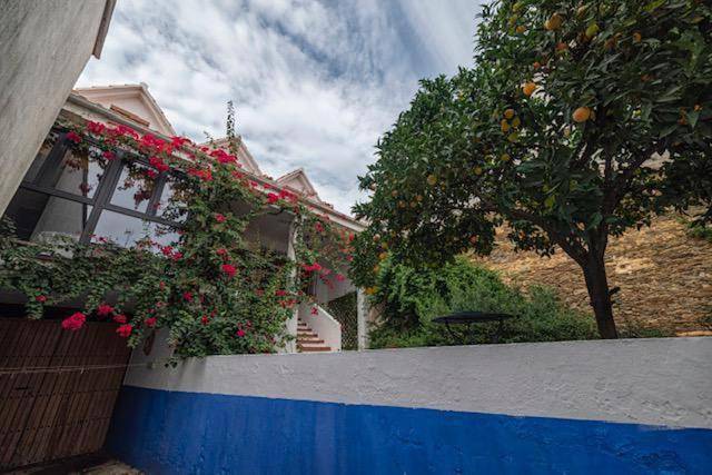 Casa rural para 14 personas, con Terraza y Jardín en Parque Nacional de Monfragüe - 4