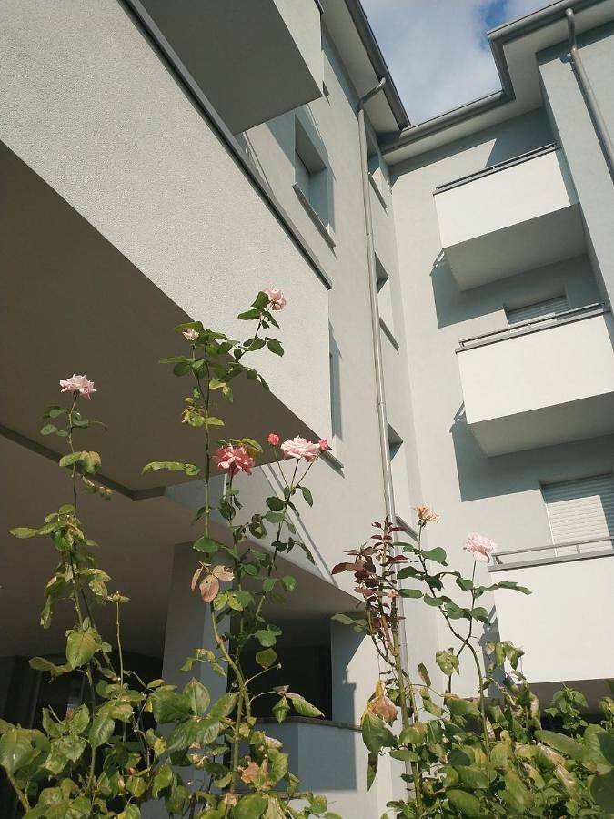 Ganze Wohnung, Le case di Giulia in Abbadia Lariana, Abbadia Lariana Kommune