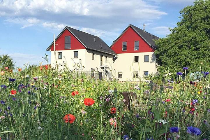 Ferienwohnung für 5 Personen, mit Balkon und Garten, mit Haustier in Grünkraut