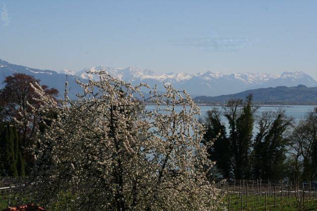 Ganze Ferienwohnung, Ferienwohnung Beck - Ferienwohnung 2 Beck, 80qm, 1 Schlafzimmer, max. 2 Personen in Wasserburg (Bodensee), Bayerisch Schwaben