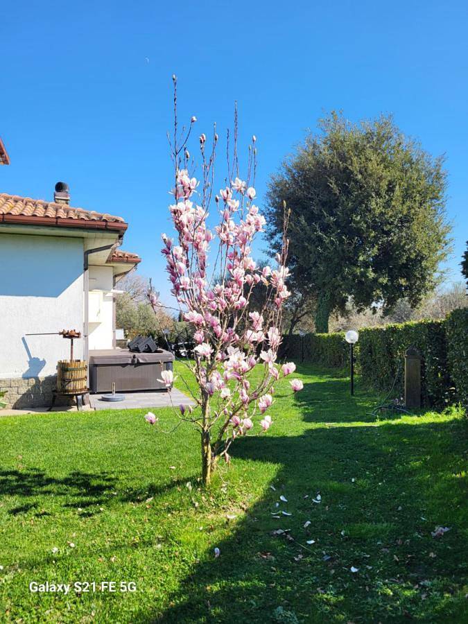 Ganze Wohnung, One-Bedroom Apartment in Vitorchiano, Viterbo Provinz