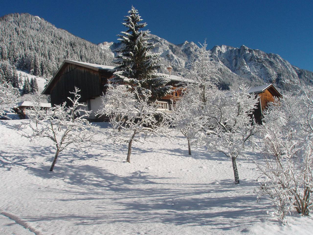 Appartement "Wiedersbergerhorn" in Alpbach, Kaisergebirge