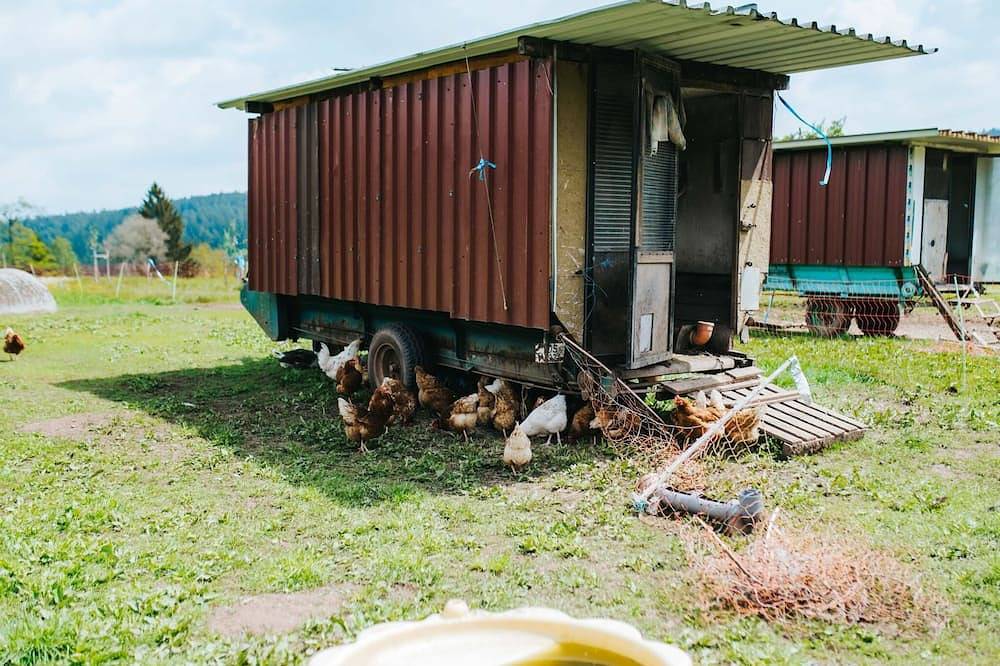 Ganze Wohnung, Ferienwohnung auf dem Bauernhof im Schwarzwald in Waldachtal, Nordschwarzwald