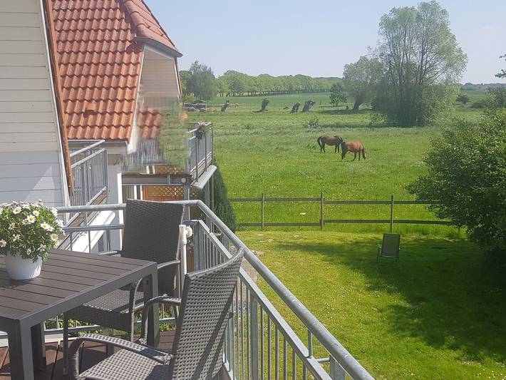 Ferienwohnung für 5 Personen, mit Balkon und Garten sowie Seeblick und Ausblick in Gingst - 3