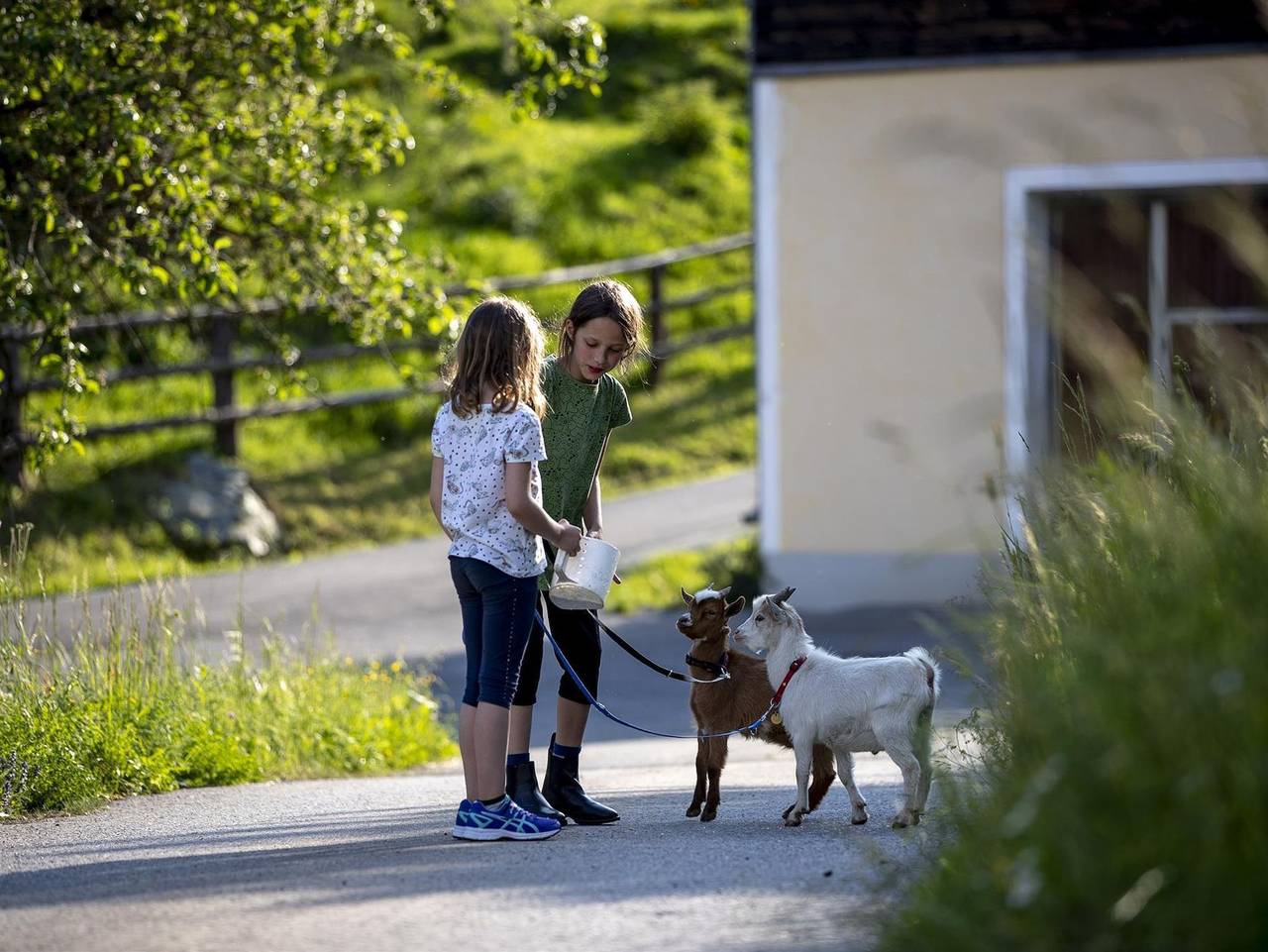 Gästehaus Familie Mandl in Murau, Westliche Obersteiermark