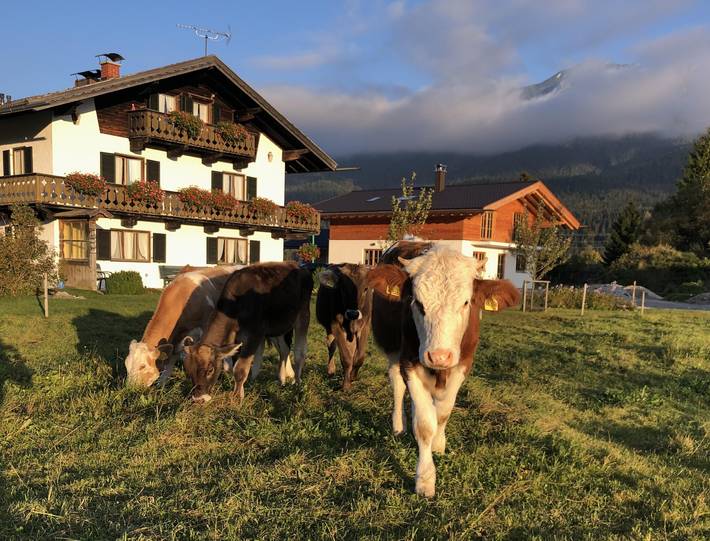 Ferienwohnung für 2 Personen, mit Balkon und Ausblick am Walchensee - 3