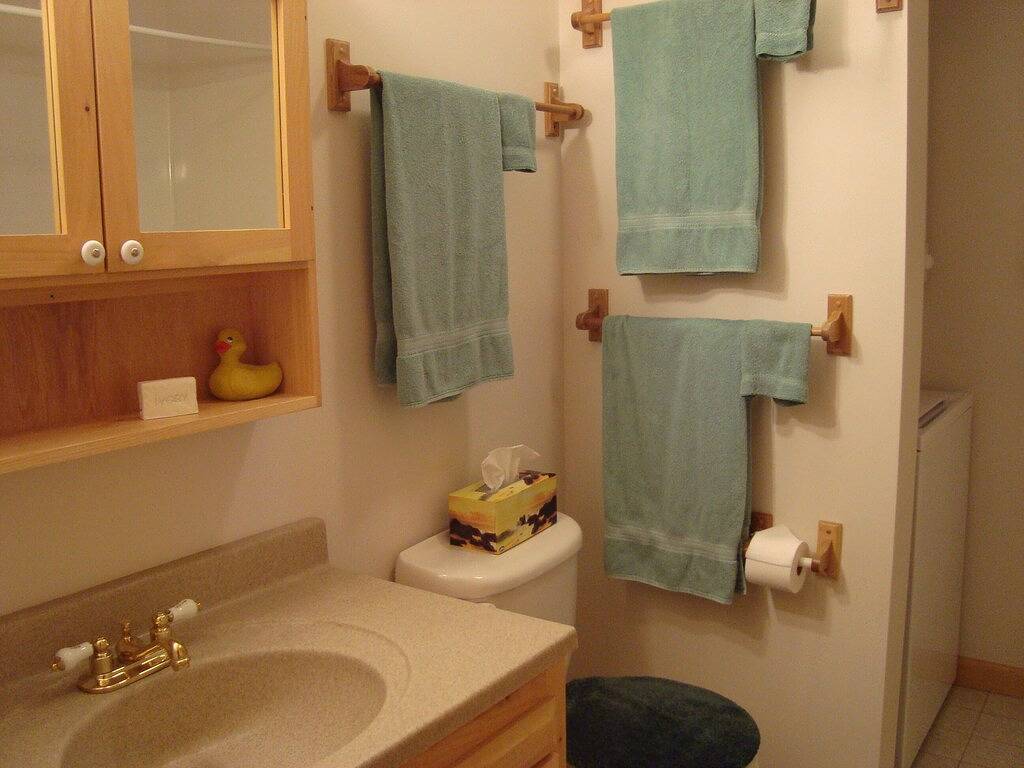 Ganze Wohnung, Schöne Wohnung in der Stadt in ruhiger Umgebung in Lake Placid, Adirondack Mountains