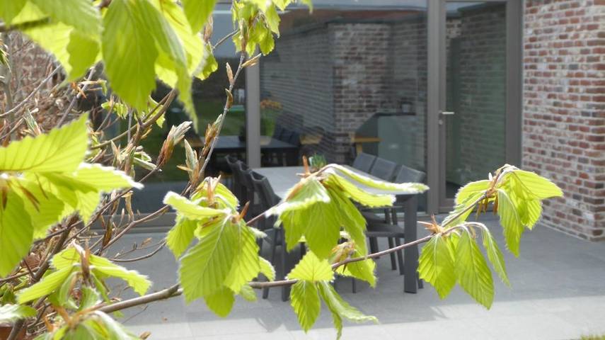 Location de vacances pour 6 personnes, avec jardin dans Wijtschate - 3