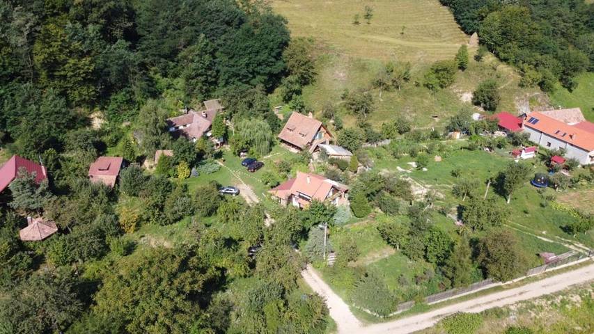 Maison d’hôte pour 2 personnes, avec Terrasse et Jardin à Alba (Romania) - 2