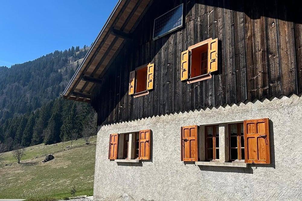 Alpine chalet in Vacheresse, Thonon-les-Bains region