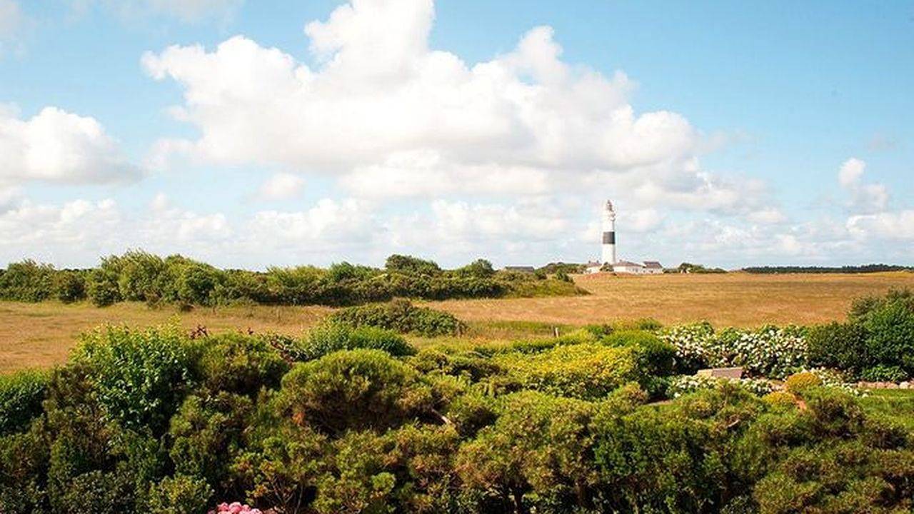 Ferienhaus für 5 Personen (220 m²) in Kampen in Kampen (Sylt), Sylt