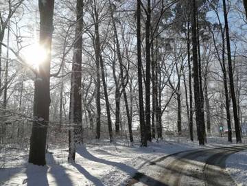 Ferienwohnung für 3 Personen, mit Garten, kinderfreundlich in der Lausitz