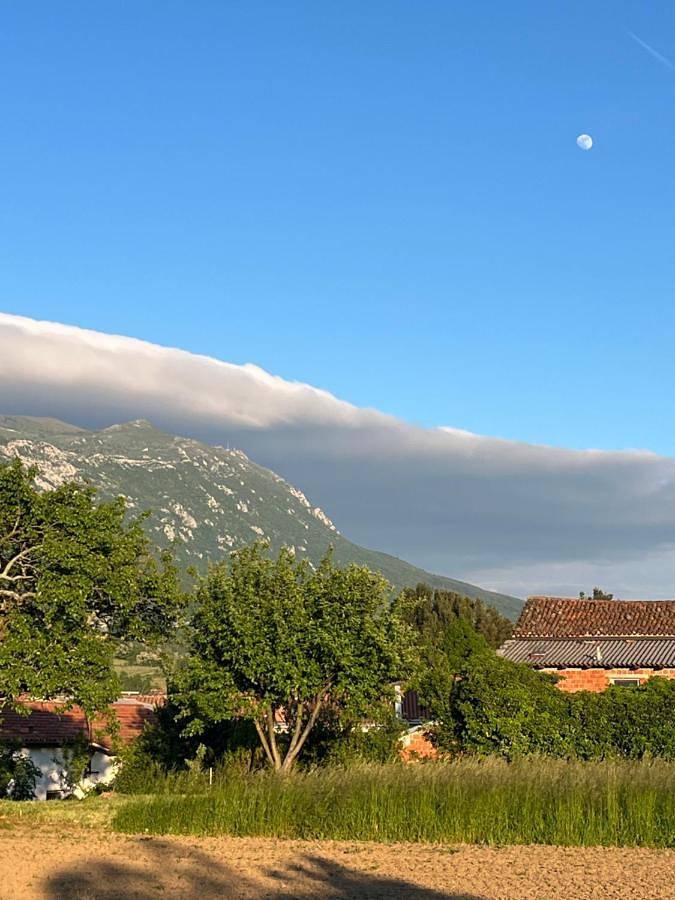 Ganze Wohnung, Apartment Rozalka Vipava valley in Vipava, Slowenien