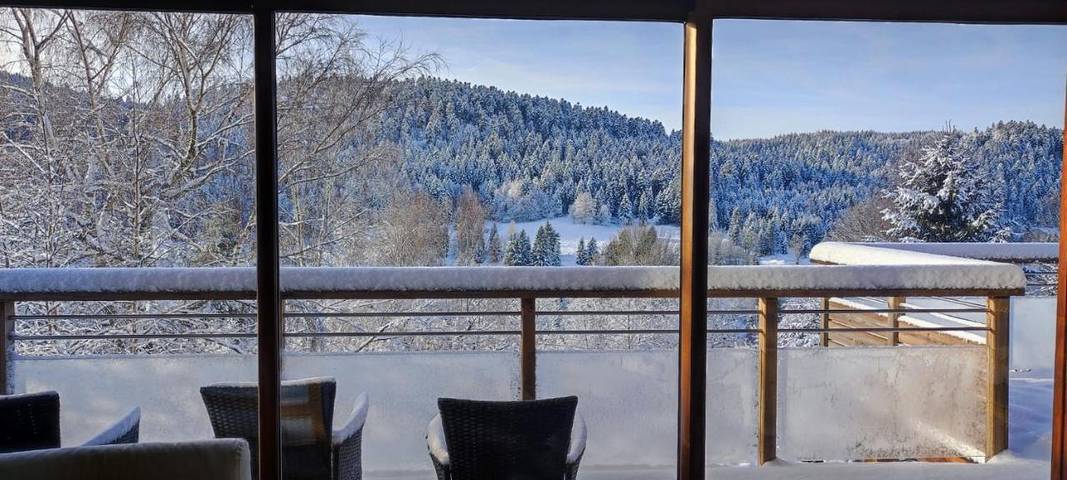 Chalet pour 8 personnes, avec jardin ainsi que piscine et vue, adapté aux familles à Ban-sur-Meurthe-Clefcy - 3