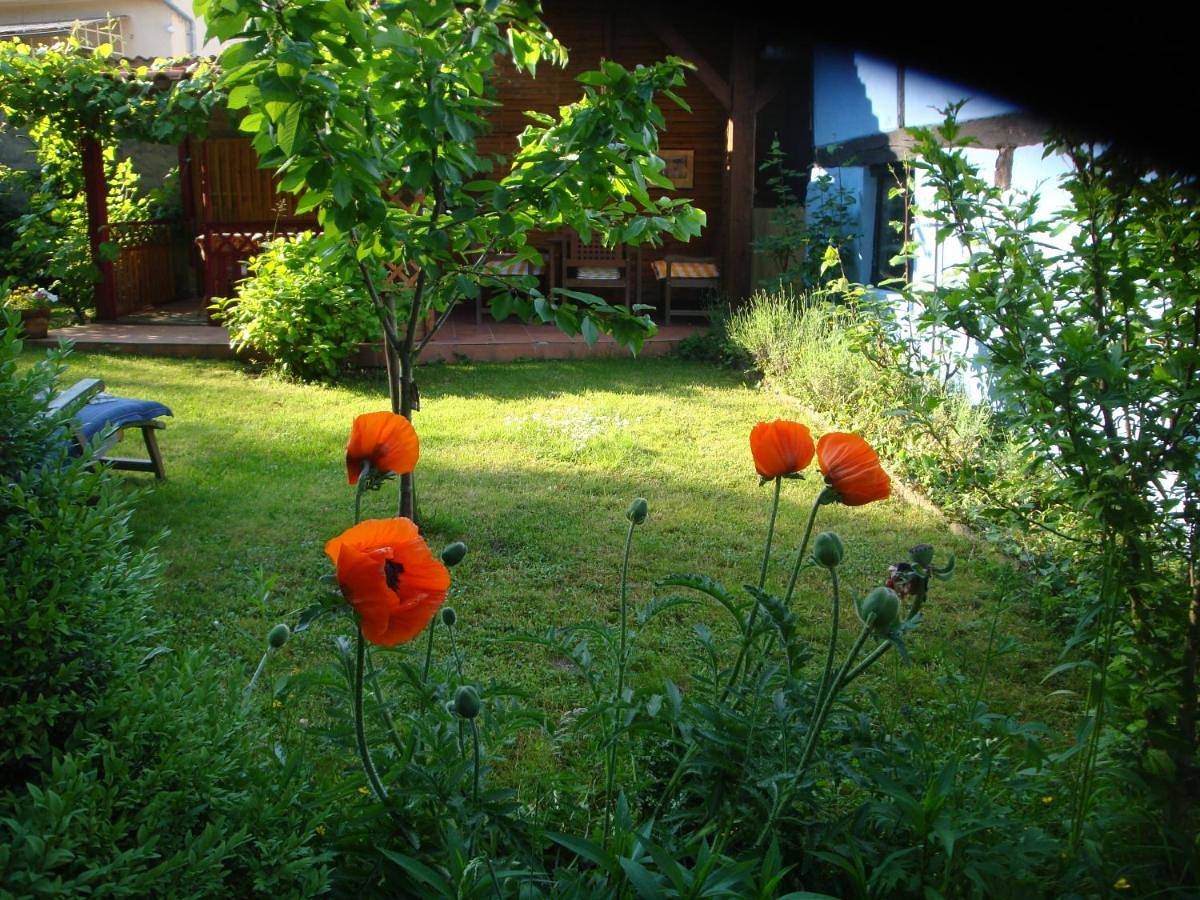 Appartement entier, Apartement de vacances Alsace - Ferienwohnung Elsaß - Holiday apartment Alsace in Bischwiller, Nord de l'Alsace