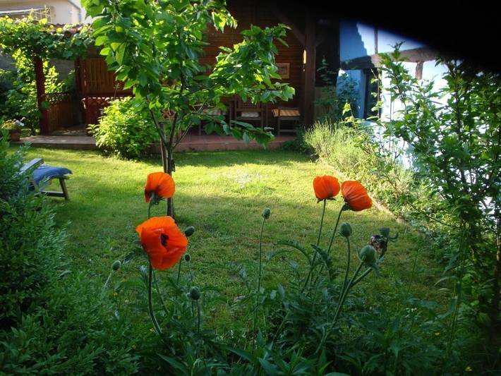 Appartement entier, Apartement de vacances Alsace - Ferienwohnung Elsaß - Holiday apartment Alsace in Bischwiller, Nord de l'Alsace