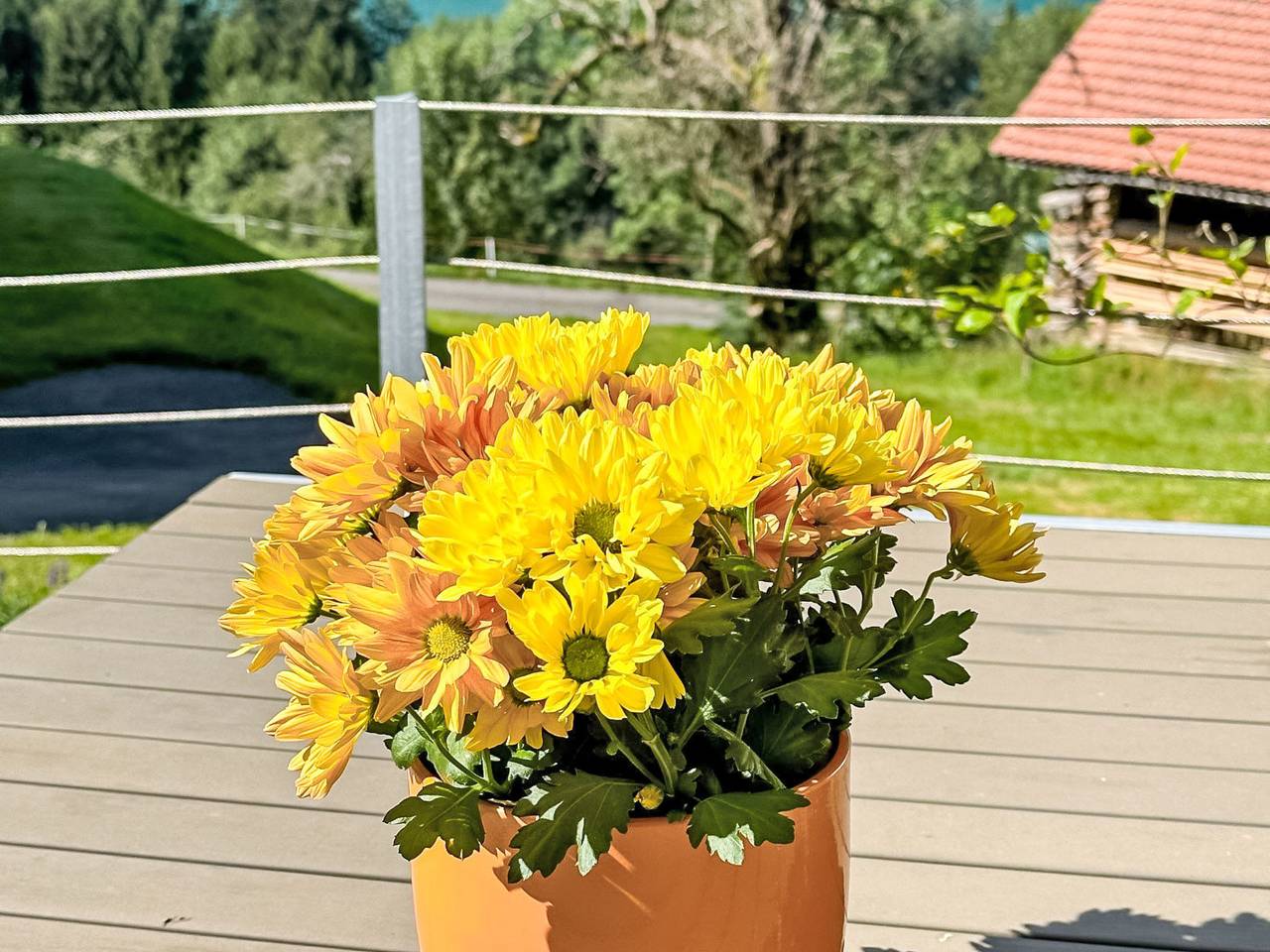 Ganze Wohnung, Henggeler in Oberägeri, Kanton Zug