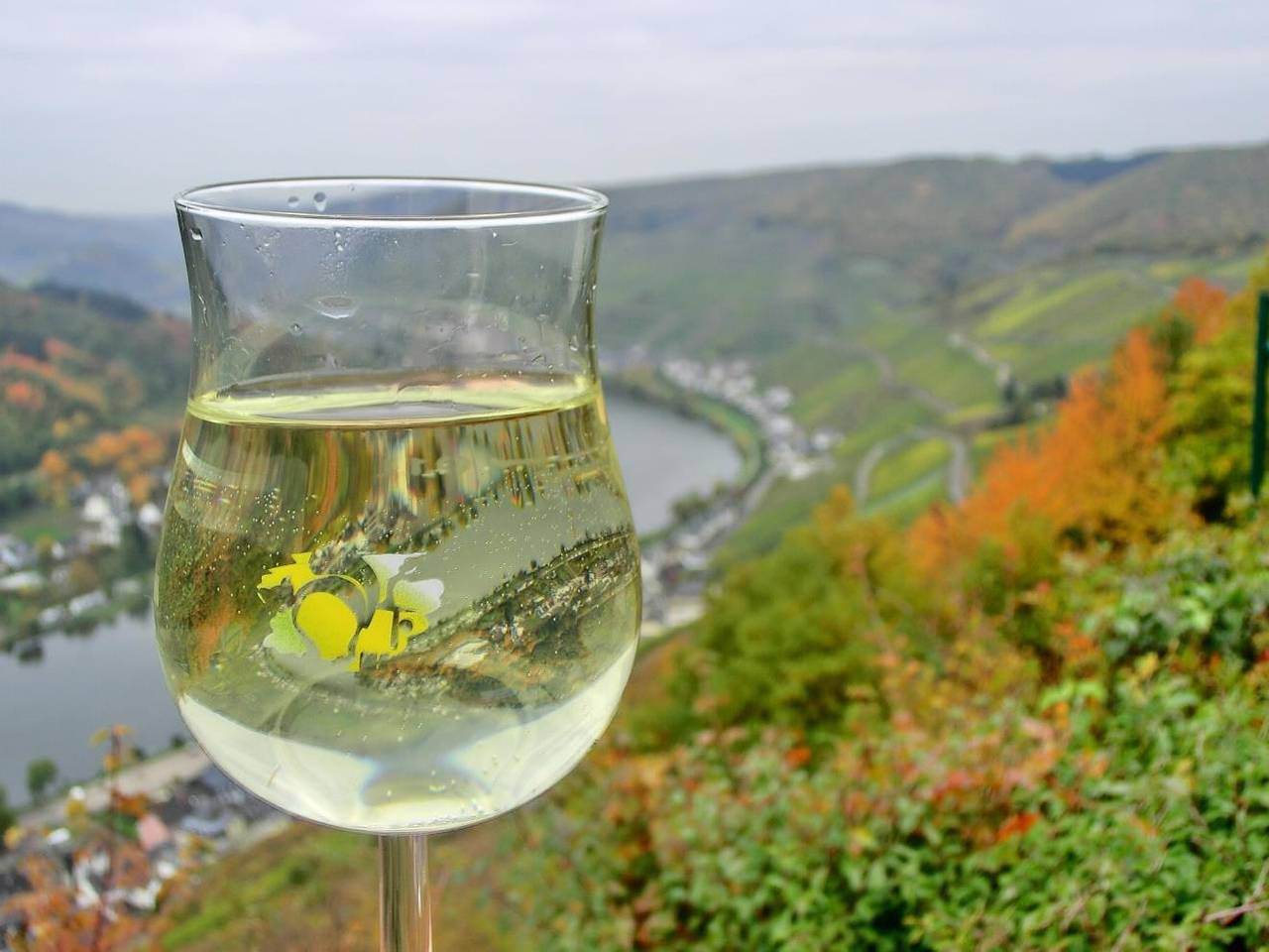 Ferienhaus Zell in Zell Stadt (Mosel), Zell (Mosel)