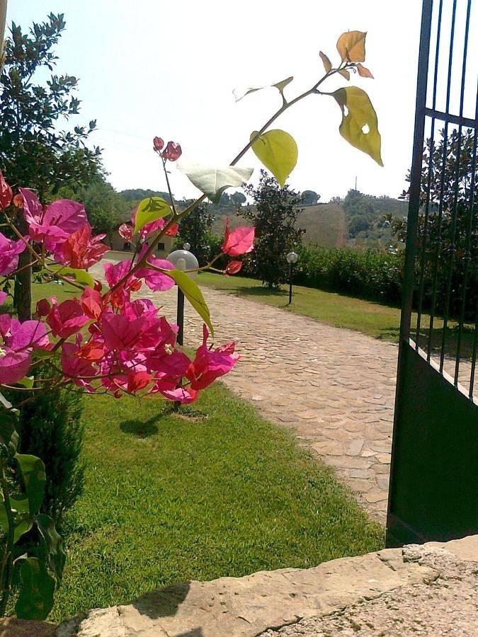 Double Room in Altavilla Silentina, Cilento