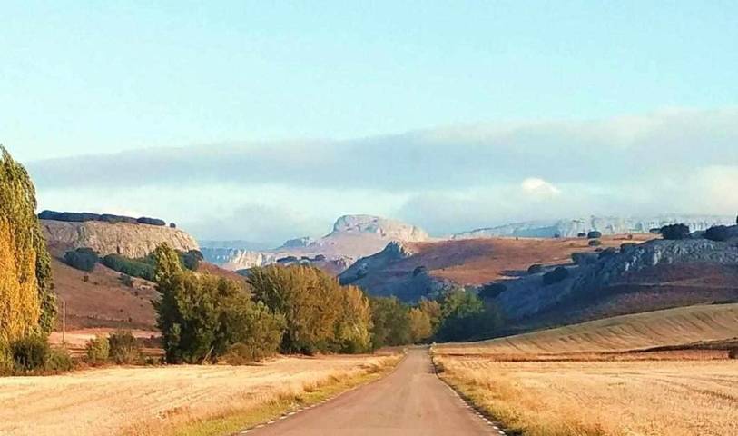 Casa rural para 10 personas, con jardín y terraza en Provincia de Burgos - 3