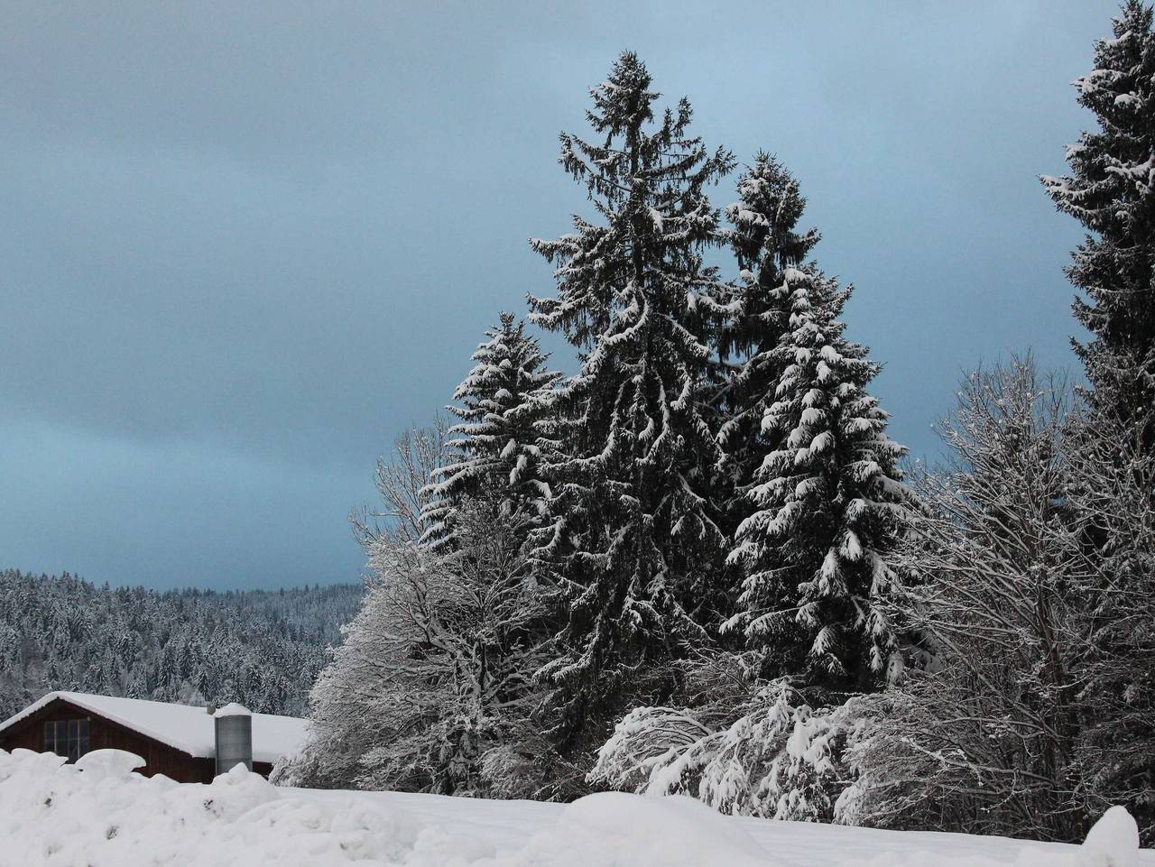 Naturparadies Silvia - Ferienwohnung in Alberschwende, Bodensee-Vorarlberg