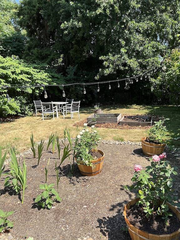 Ganze Wohnung, Alice- The Wonderland Experience in Salem (OR), Willamette Valley