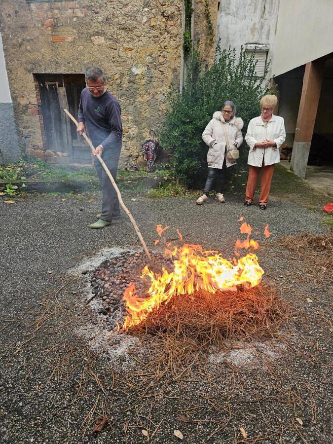 Location de vacances pour 8 personnes, avec jardin et vue, animaux acceptés dans Góis - 3