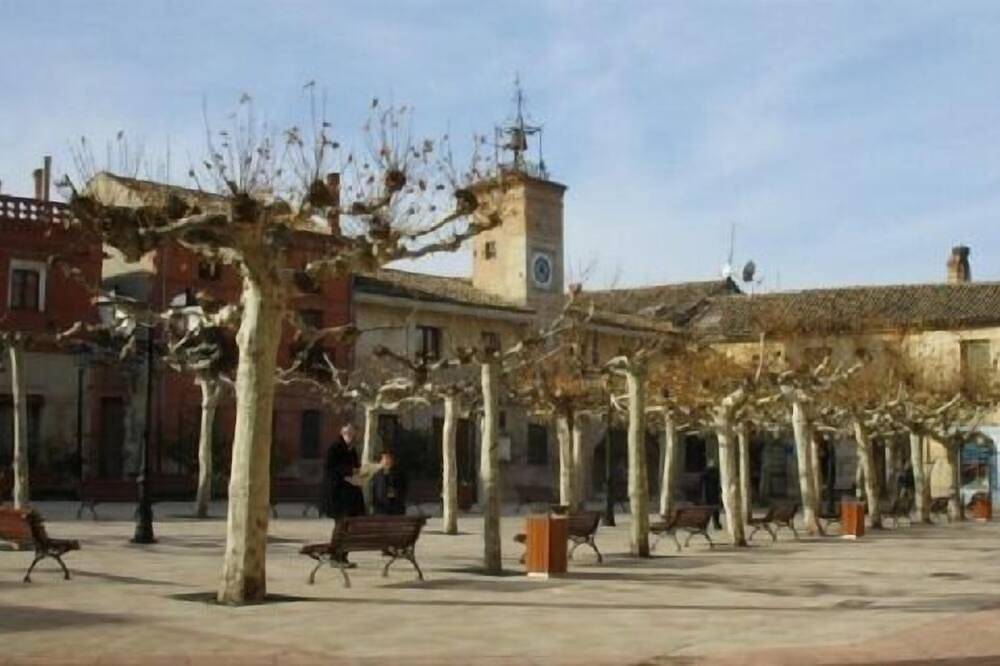 Casa rural (alquiler íntegro) La Alcubilla para 10-12 personas in Astudillo (desambiguación), Provincia de Palencia