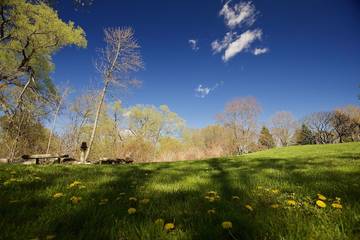 Cabin Rentals And Lodges for 2 Guests in Lake Ontario (Canada), Picture 2