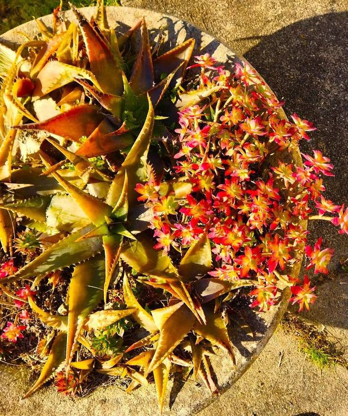 Location de vacances pour 4 personnes, avec vue et jardin à Pineuilh - 4