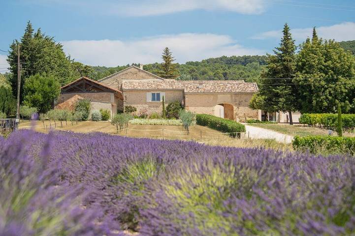 Holiday home for 15 people, with pool - 1