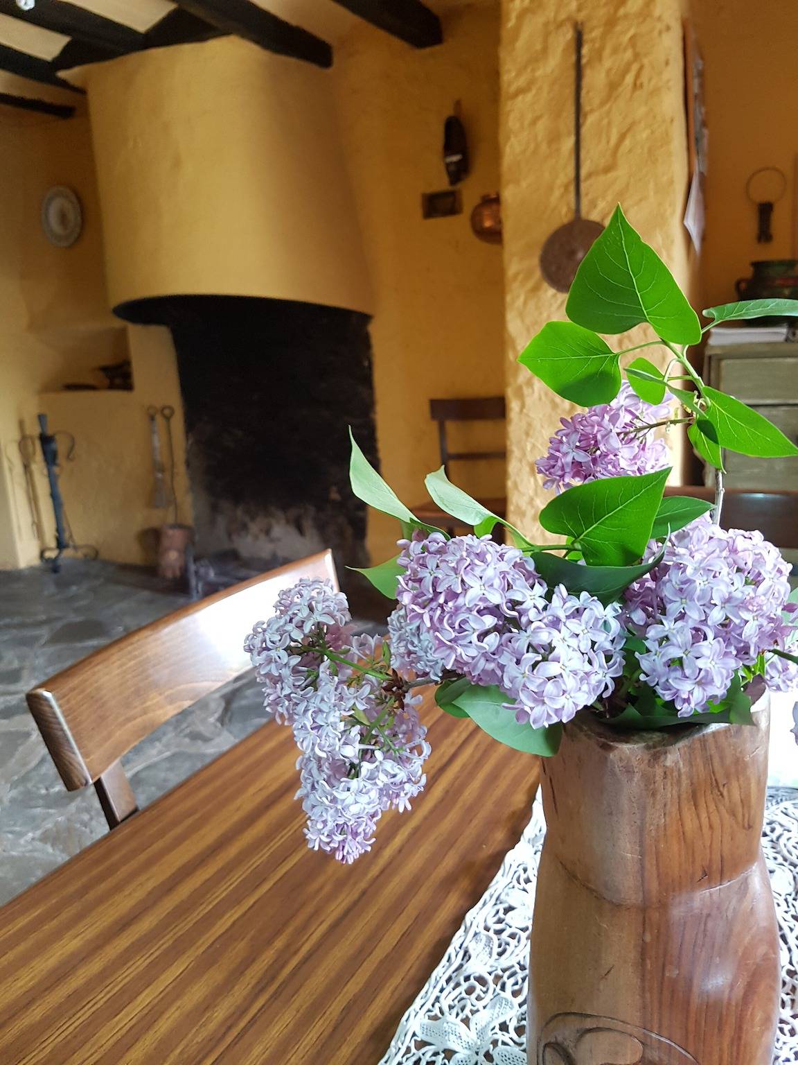 Casa rural 'Cargol Mas Violella' con vistas a la montaña, piscina y Wi-Fi in San Juan les Fonts, Parc Natural de Zona Volcànica de la Garrotxa