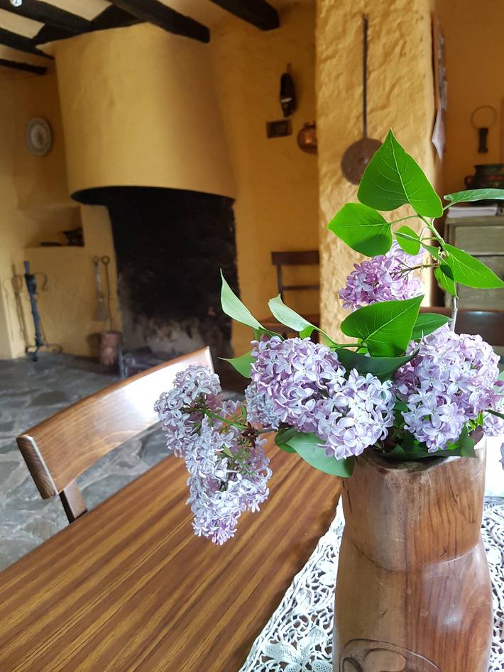 Casa rural con piscina para 6 personas, con jardín y piscina para niños, Se admiten mascotas en Garrotxa - 3