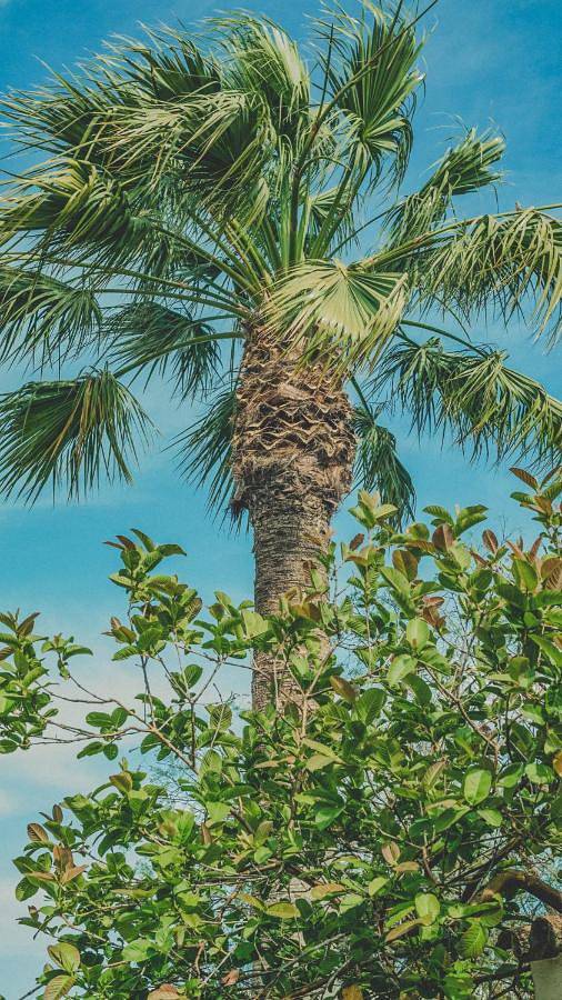 Standard Double Room with Shared Bathroom in Faro, Parque Natural da Ria Formosa