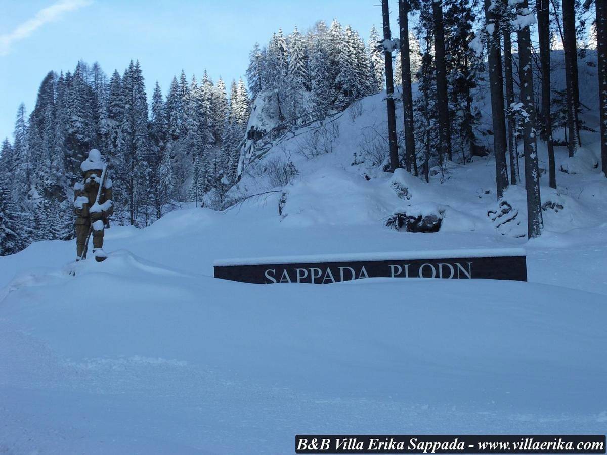 Villa Erika in Sappada, Karnischer Hauptkamm