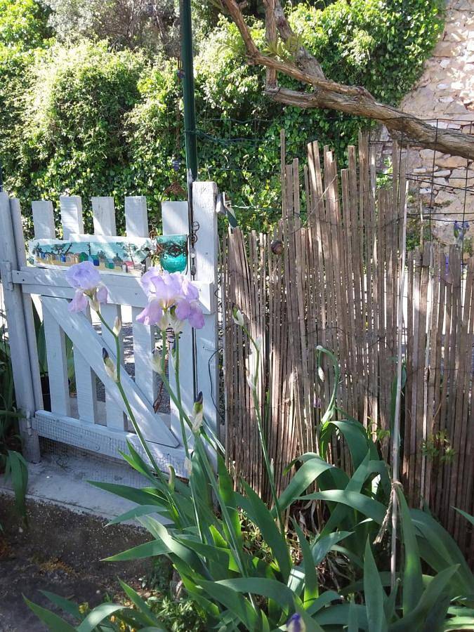 Chambre d’hôte pour 2 personnes, avec jardin ainsi que vue et terrasse à Bédoin - 4