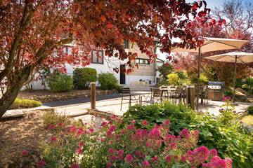 Gîte pour 14 Personnes dans Châtillon-sur-Marne, Parc naturel régional de la Montagne de Reims, Photo 3