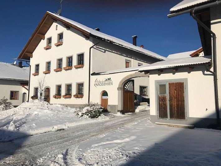 Ferme pour 6 personnes, avec Balcon/Terrasse ainsi que Terrasse et Jardin à Wegscheid - 4