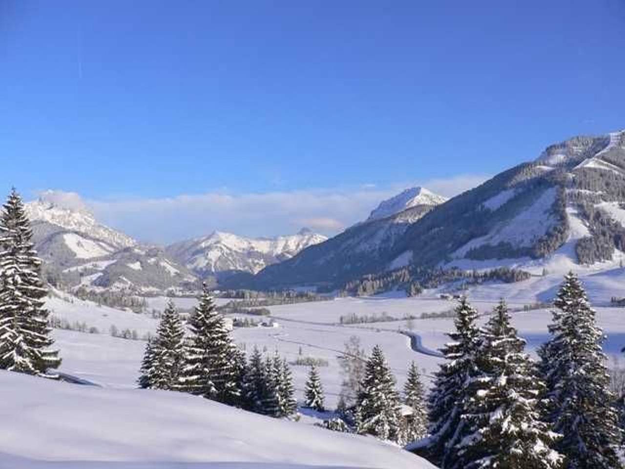 Berger Hof - Standard-Doppelzimmer B Spitzwegerich in Tannheim (Tirol), Allgäuer Alpen (Österreich)